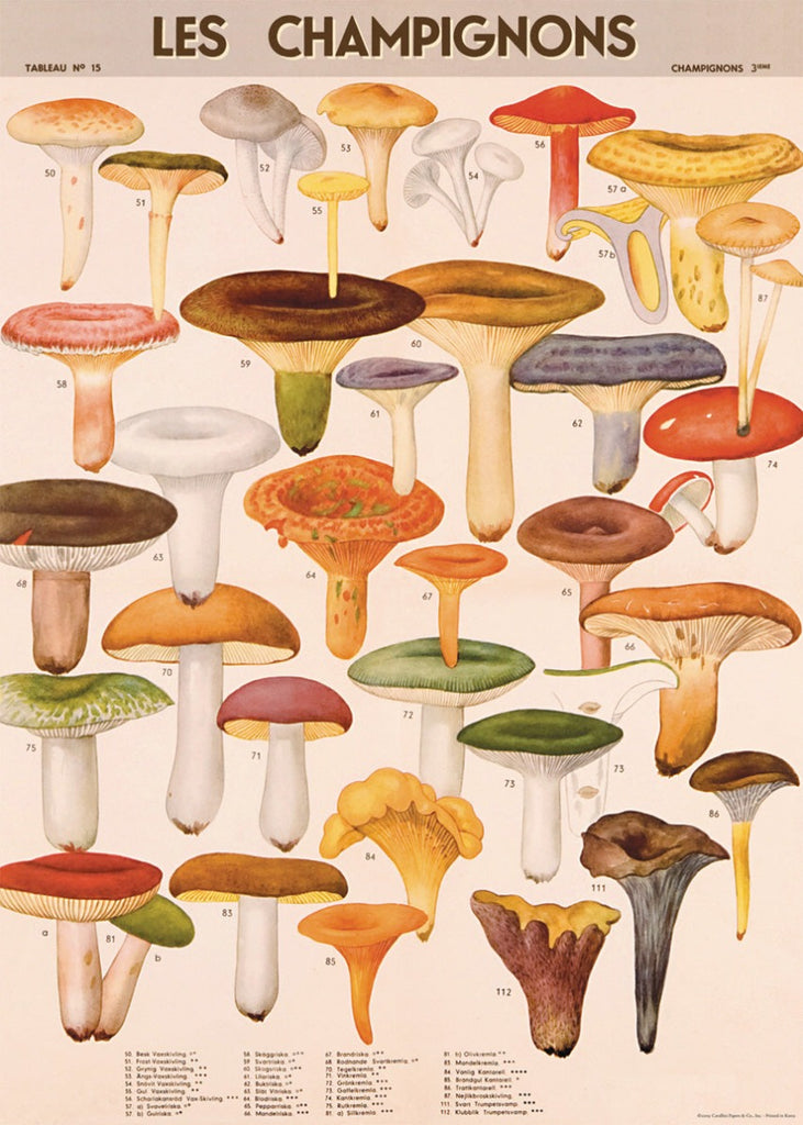Mushrooms Wrap Sheet